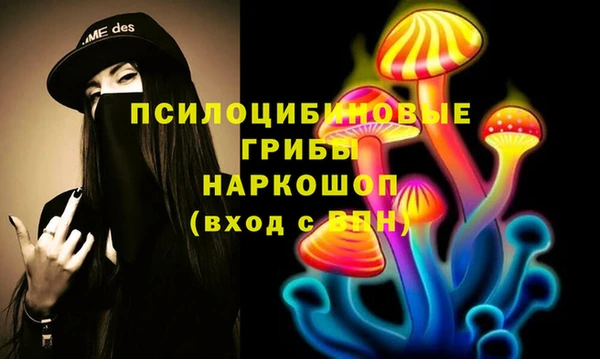 гашик Абинск