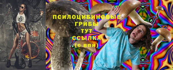 МДПВ Абаза