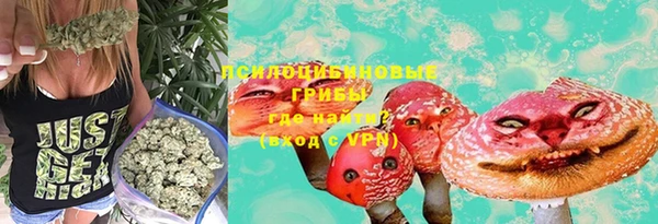 гашик Абинск