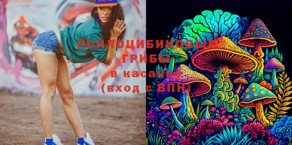 гашик Абинск